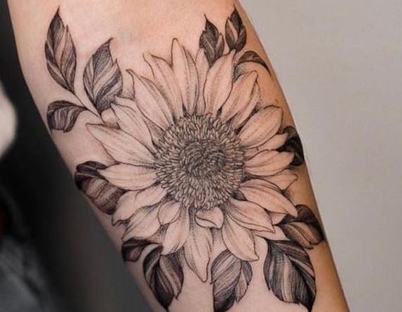 35 Tatuagens Fantásticas de Flor de Girassol e o seu significado