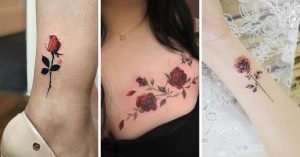 Tatuagens magnolias