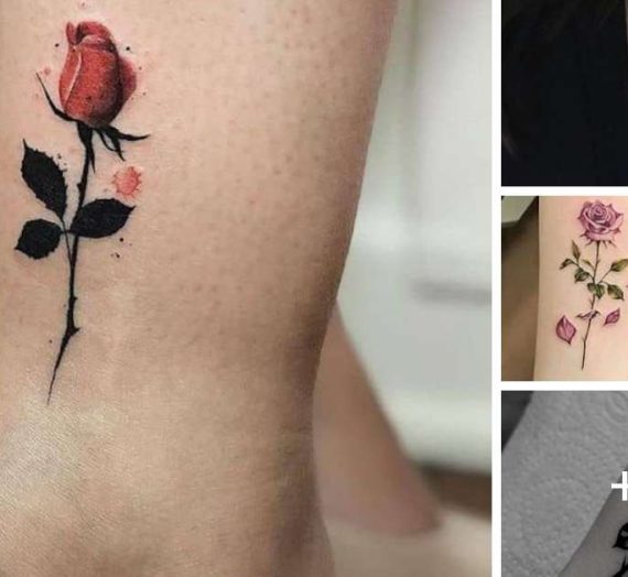 Tatuagens de rosas: o simbolismo por trás dos desenhos