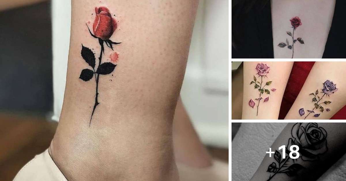 Tatuagens de rosas