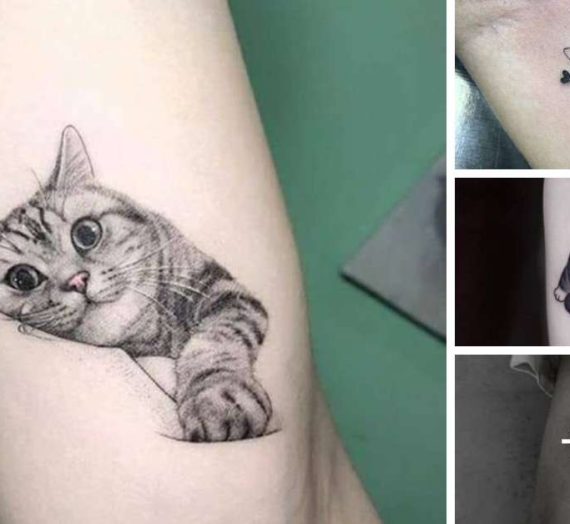 21 Tatuagens femininas de gatos: ideias de design e tendências populares