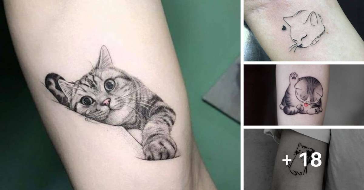 tatuagens de gatos