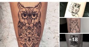 Tatuagens de corujas