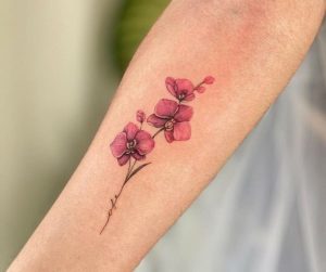 Tatuagens_primeira_flor-14