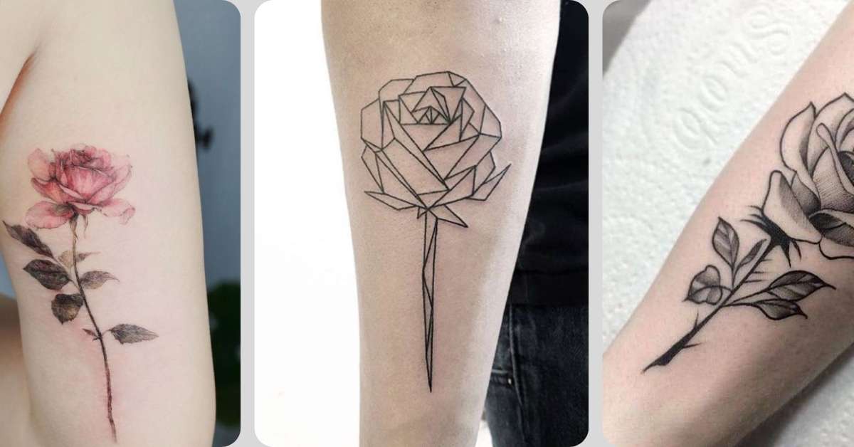 tatuagens de rosas