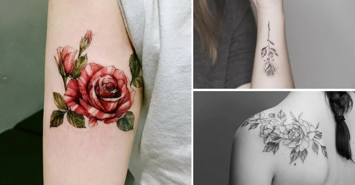 rosas