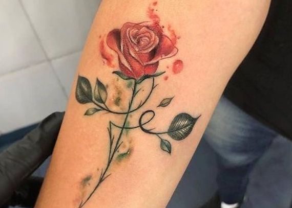 Descubra o simbolismo da ROSA e veja estas 31 tatuagens para se inspirar