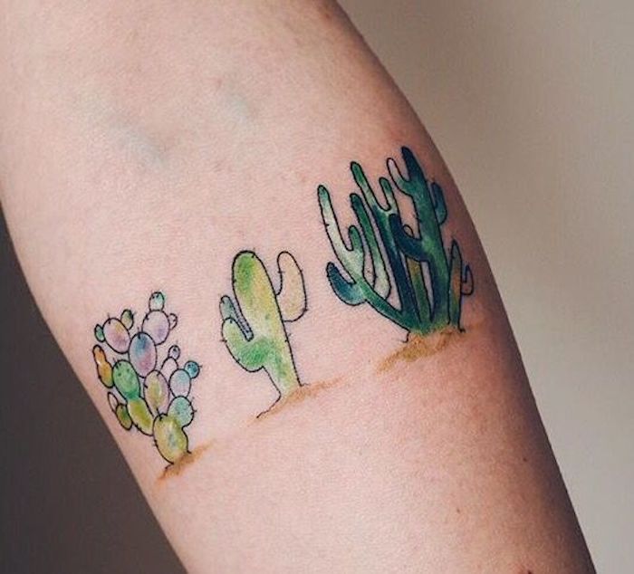 Cactus Tattoo - linha fina  Tatuagem suculenta, Tatuagem de