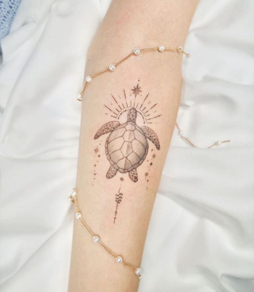 tatuagens de tartaruga