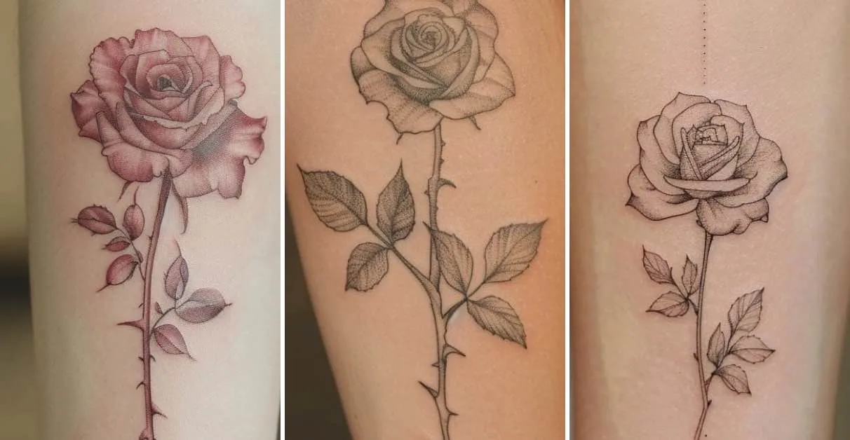 Tatuagens de Rosas
