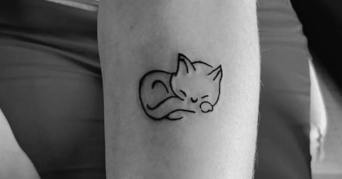 tatuagens de gatos